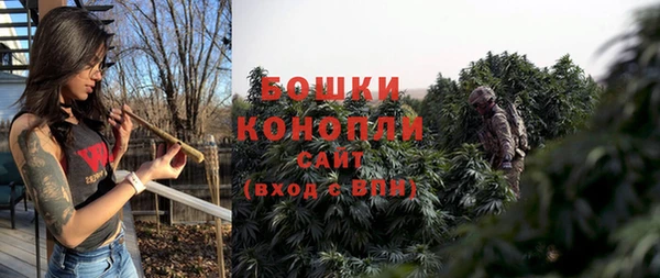 дмт Гусев