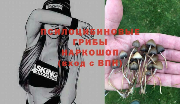 мяу мяу мука Алексеевка