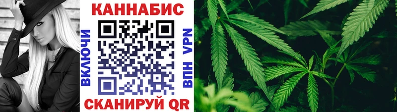 купить   Шелехов  Канабис индика 